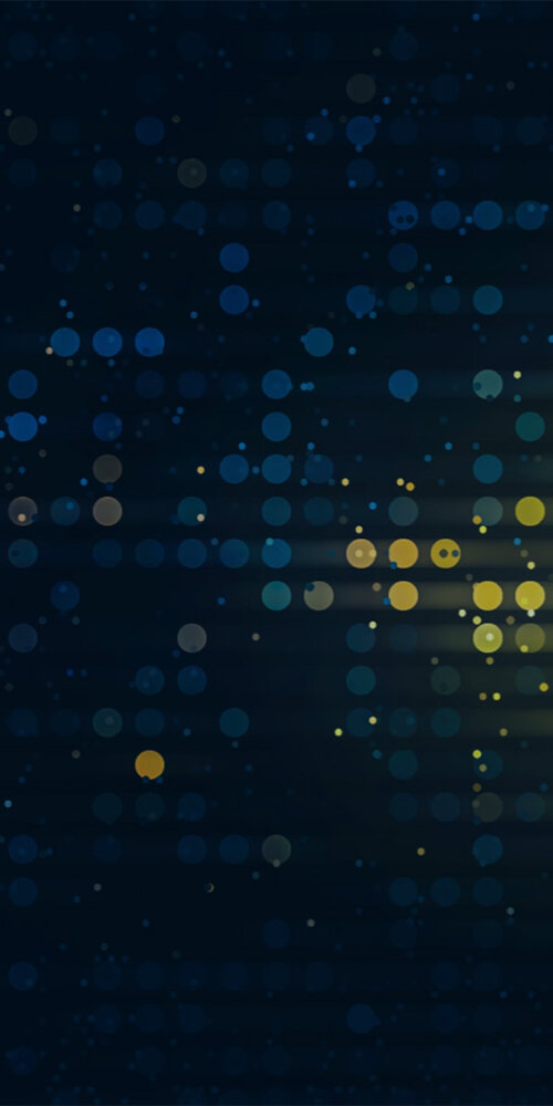 Network Environments - SMR